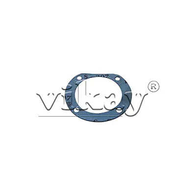 Shim 0.1 MM 5032025200 Replacement - Master