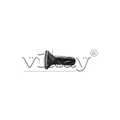 Slotted screw 3000077289 Replacement - Master
