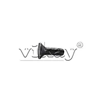 Slotted screw 3000077289 Replacement - Master