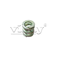 Spring  Valve case  R047961 Replacement - Master