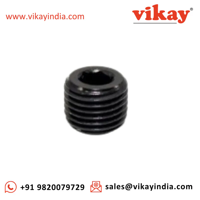 Plug - Pipe (1/8") C035390 Replacement - Master