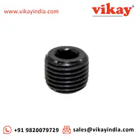 Plug - Pipe (1/8") C035390 Replacement - Master