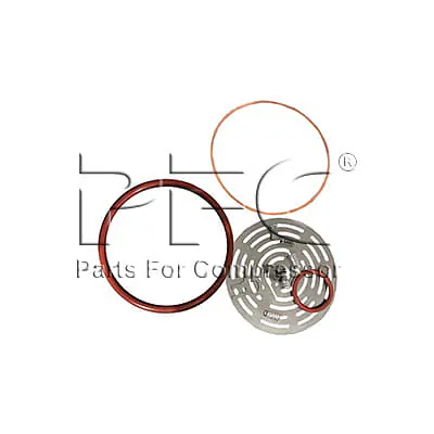 Valve Service Kit (First Stage) 1903005595 Replacement - Master